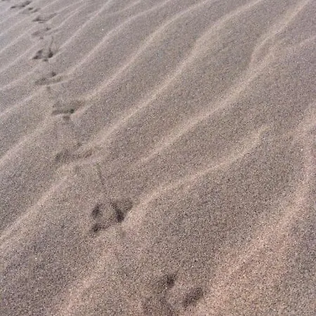 Koka Ruby - Playa Del Ingles Lejlighed